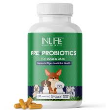 prebiotics for dogs and cats
