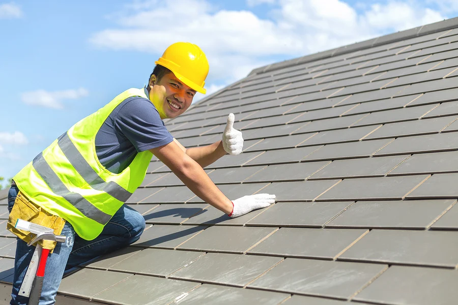 Professional Roofing Services