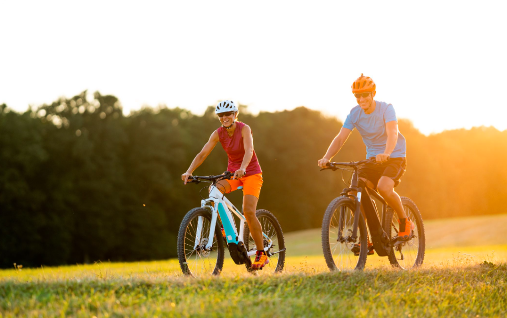 Electric Bike